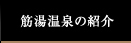 筋湯温泉の紹介